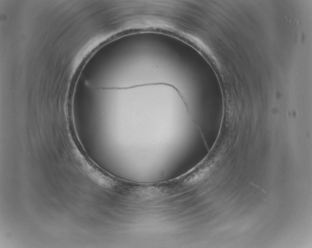 X0000060740943200511241634