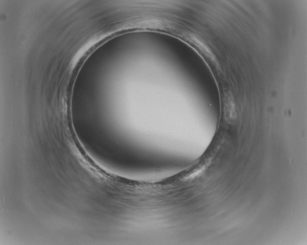 X0000060740944200511241634