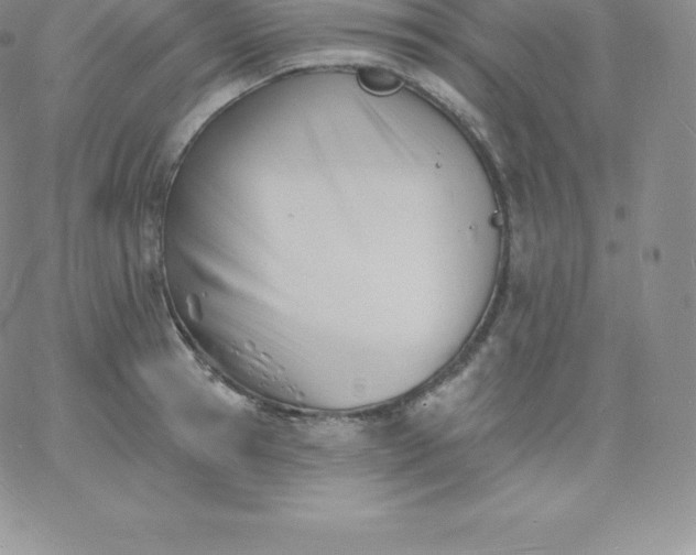 X0000060740945200511241634