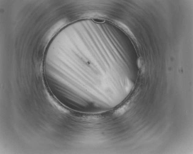 X0000060740946200511241634