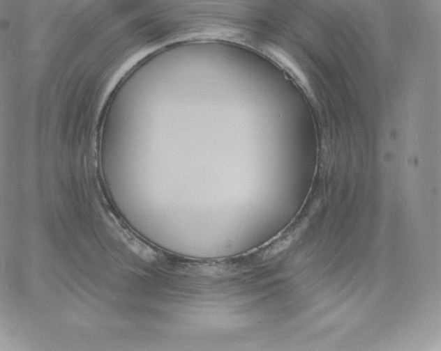 X0000060740948200511241634