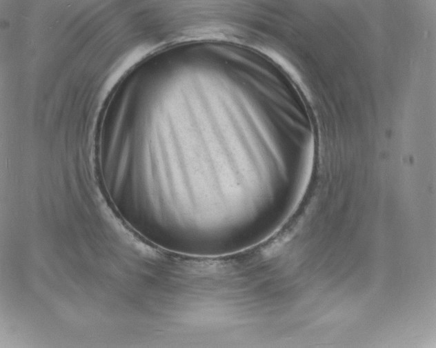 X0000060740949200511241634