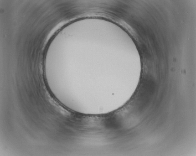 X0000060740950200511241635