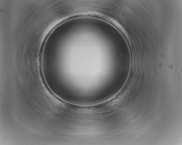 X0000060740951200511241635