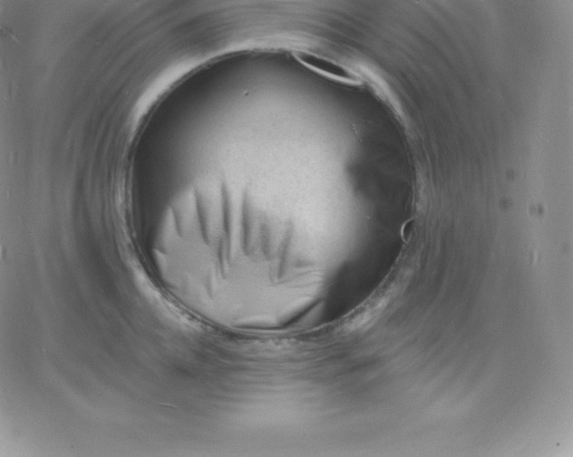 X0000060740952200511241635