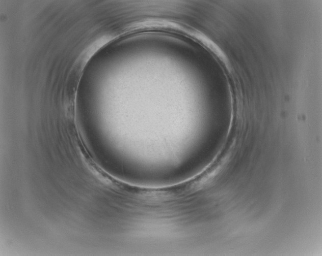 X0000060740953200511241635