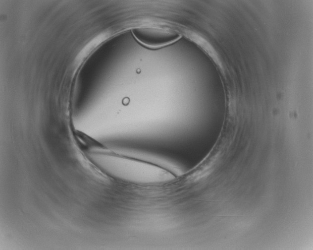 X0000060740954200511241635