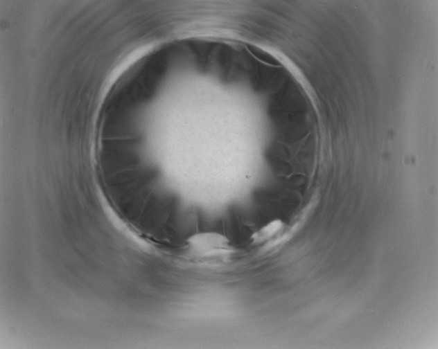 X0000060740957200511241635