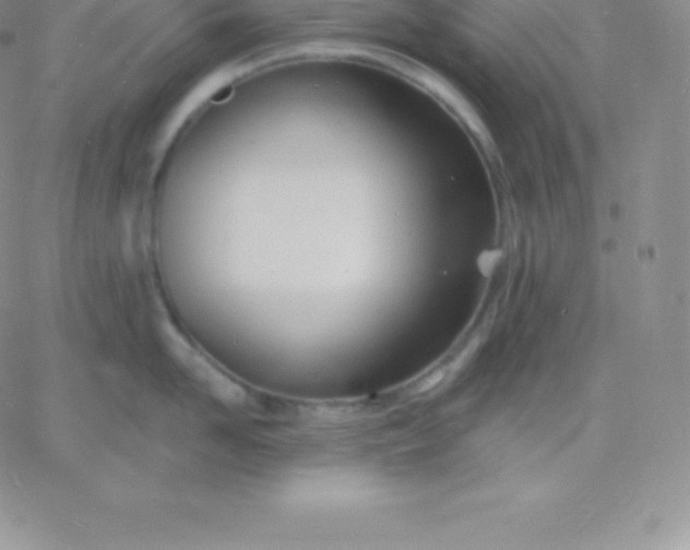 X0000060740958200511241635