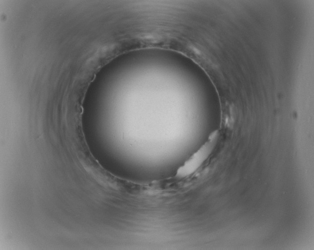 X0000060740961200511241634