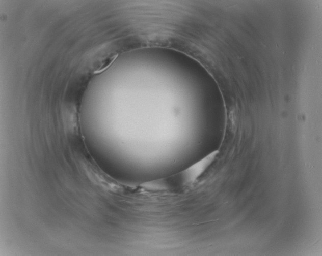 X0000060740963200511241634