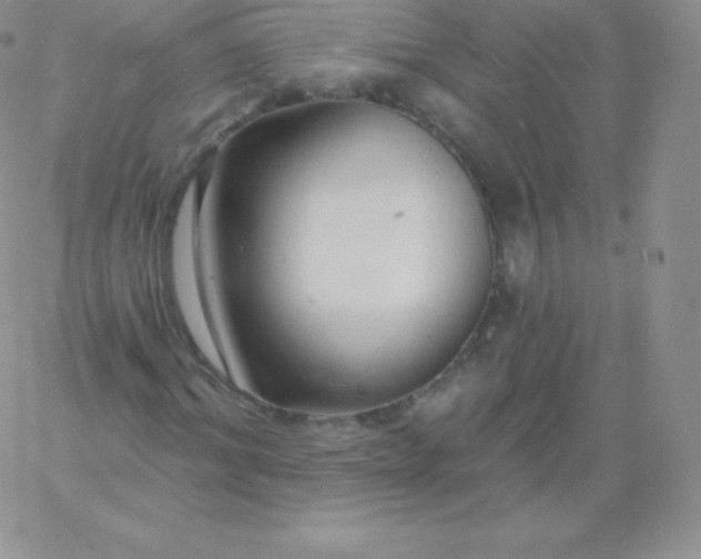 X0000060740964200511241634