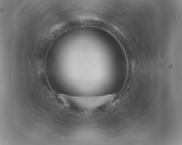 X0000060740965200511241634