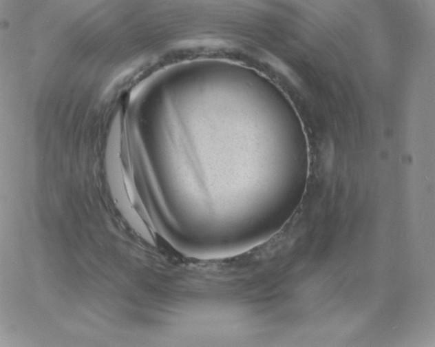 X0000060740967200511241634