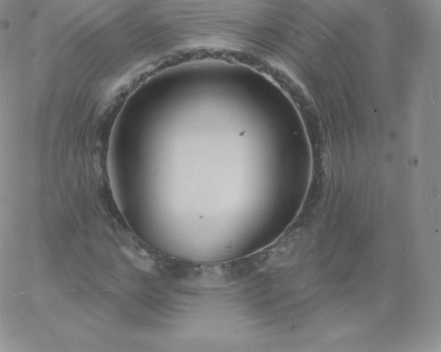 X0000060740968200511241634