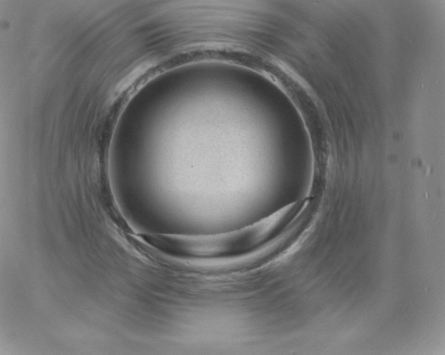 X0000060740969200511241634