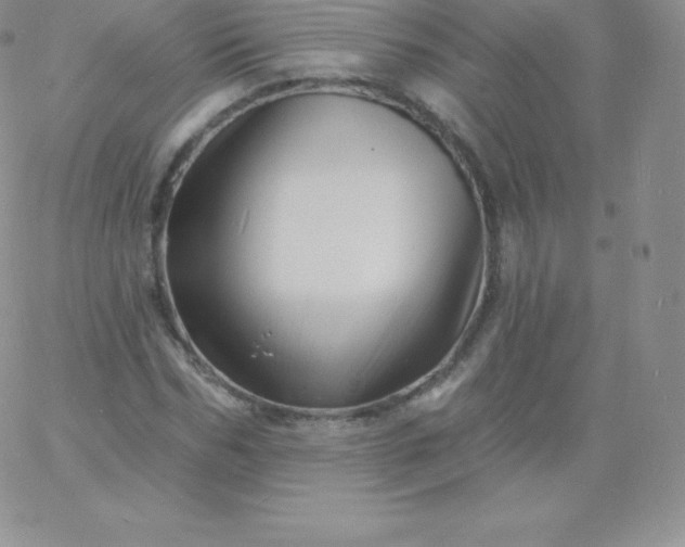 X0000060740970200511241634