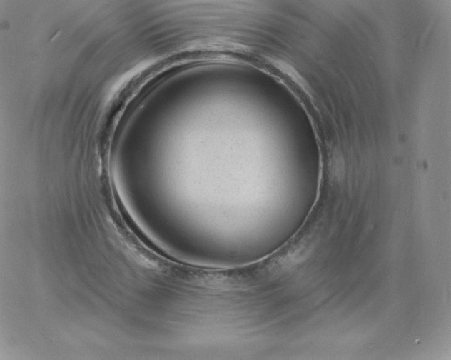 X0000060740971200511241634