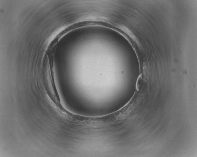 X0000060740972200511241634