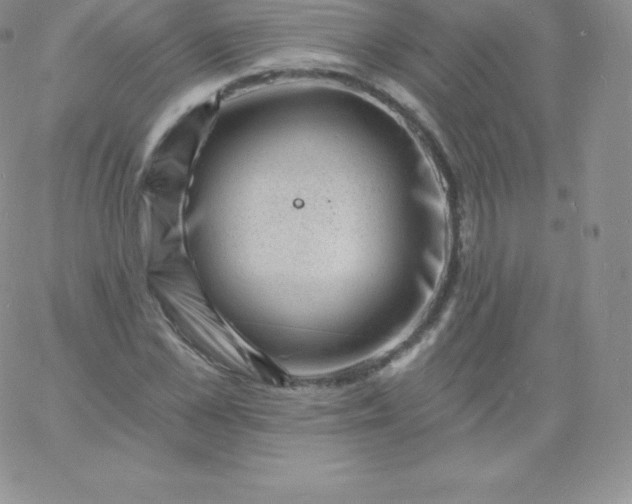 X0000060740973200511241634