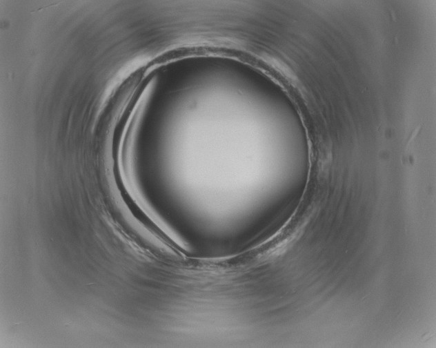 X0000060740974200511241634