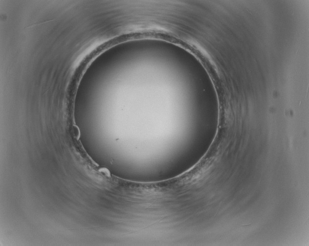 X0000060740975200511241634