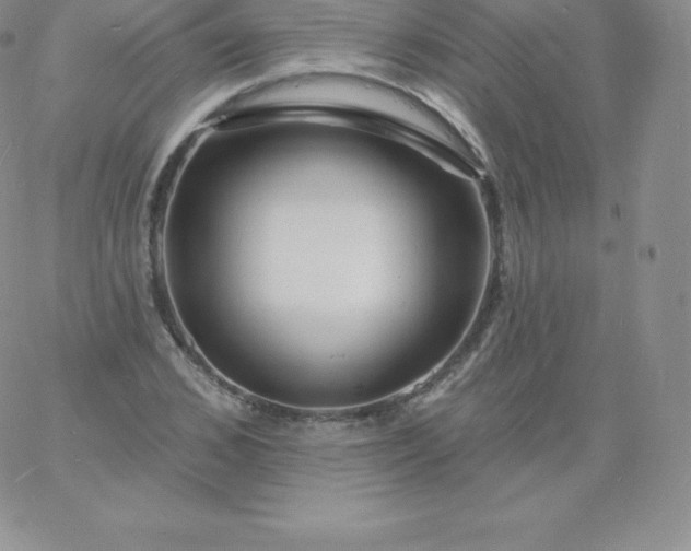 X0000060740976200511241634