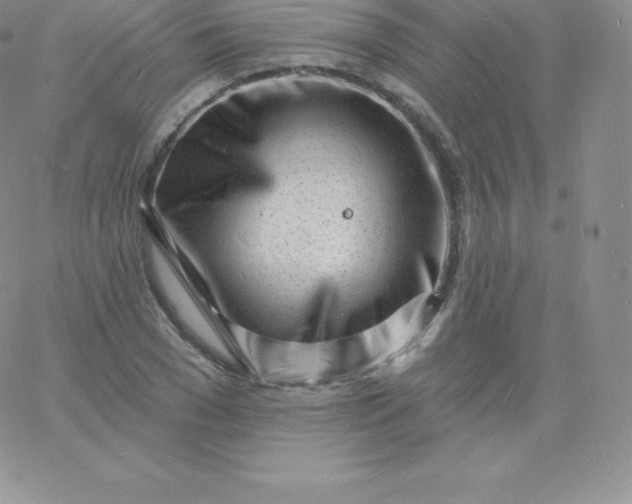 X0000060740977200511241634