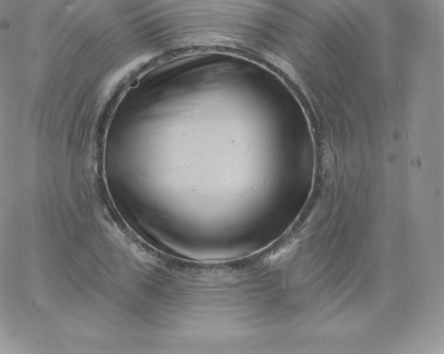 X0000060740979200511241634