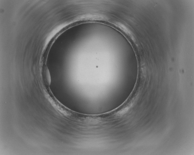 X0000060740981200511241634