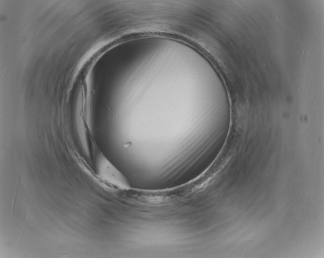 X0000060740982200511241634