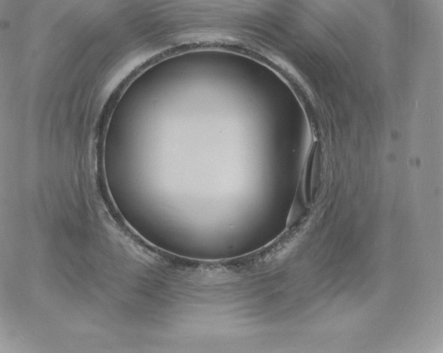 X0000060740983200511241634