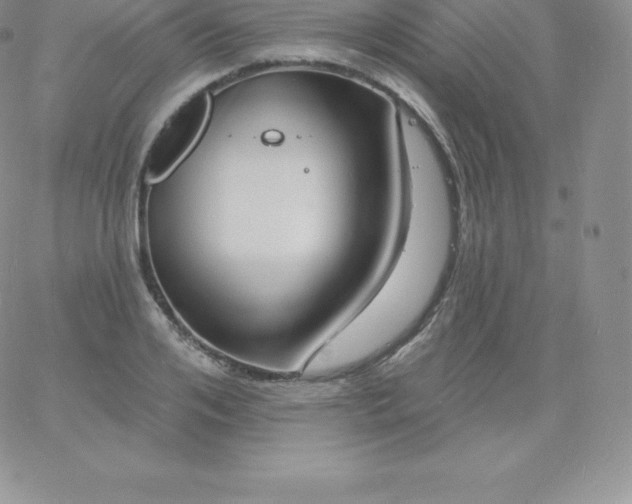 X0000060740984200511241634