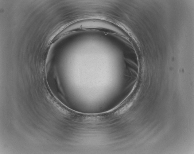 X0000060740985200511241633