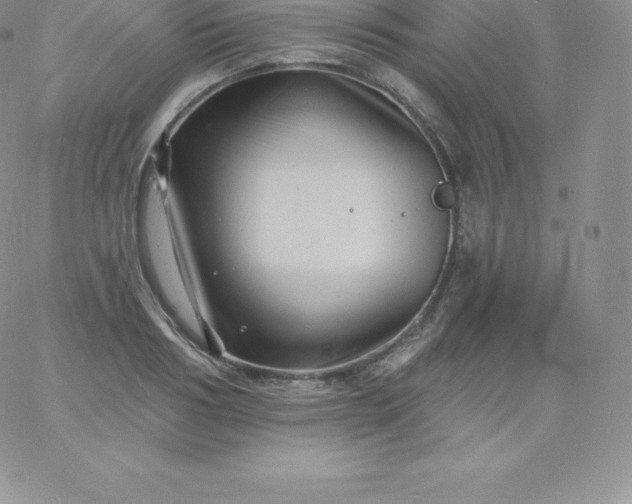 X0000060740986200511241633