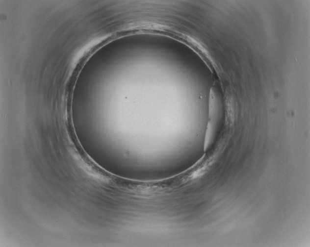 X0000060740987200511241633