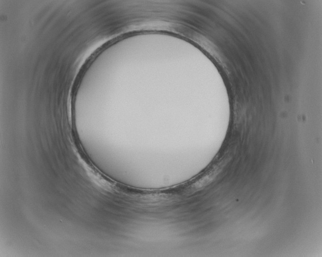 X0000060740988200511241633