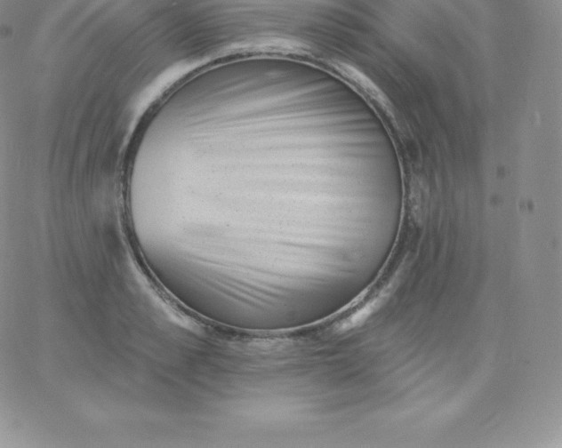 X0000060740989200511241633