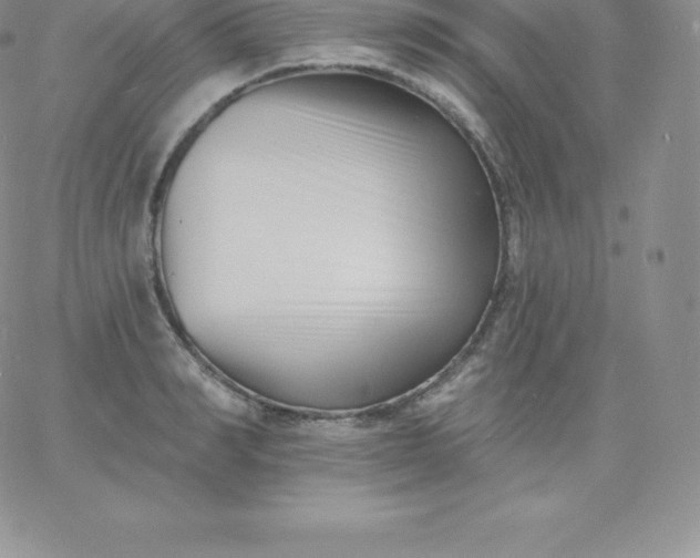 X0000060740990200511241633