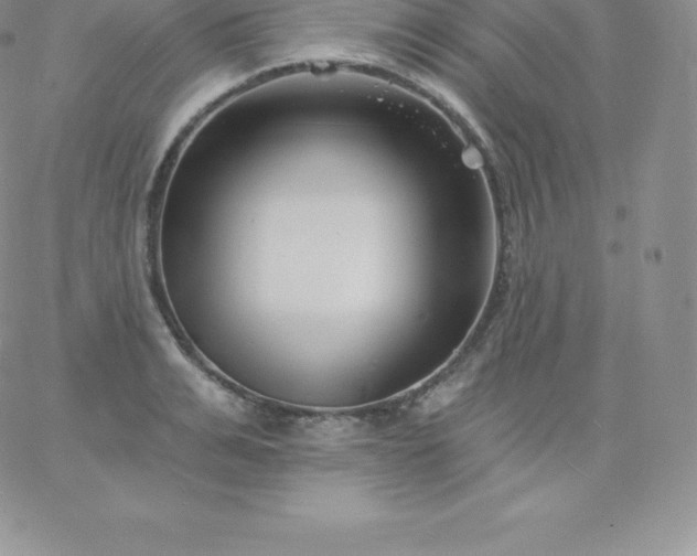 X0000060740991200511241633