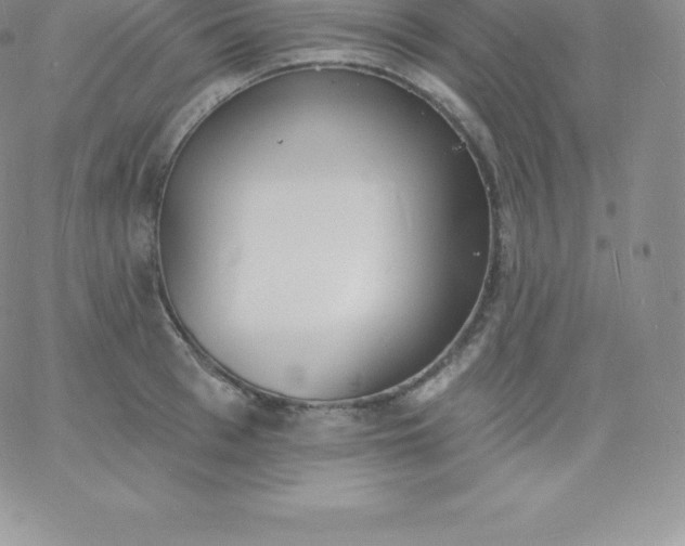 X0000060740993200511241633