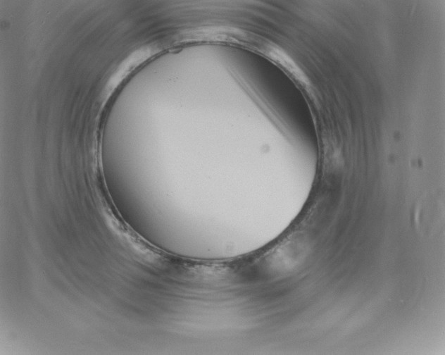 X0000060740994200511241633