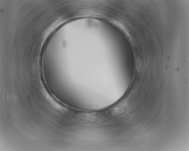 X0000060740995200511241633