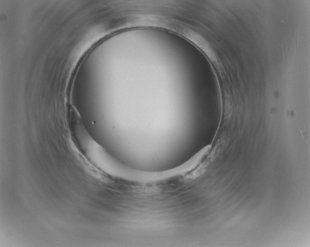 X0000060740996200511241633