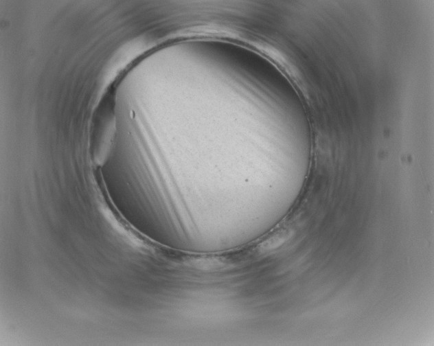 X0000060740998200511241633