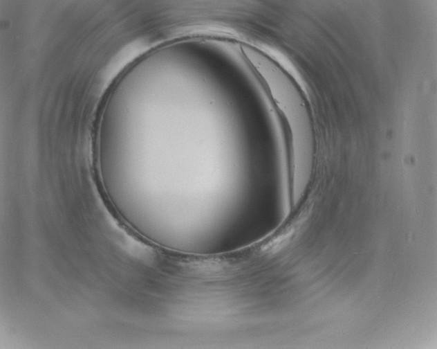 X0000060740999200511241633