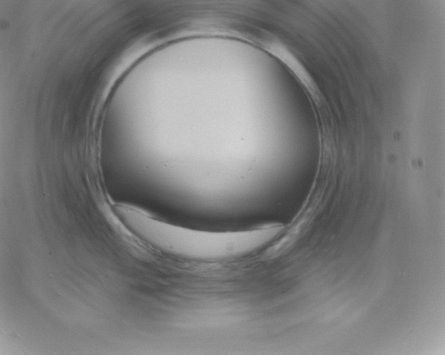 X0000060741004200511241633