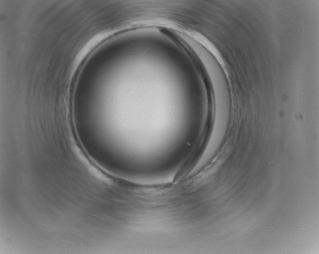 X0000060741005200511241633