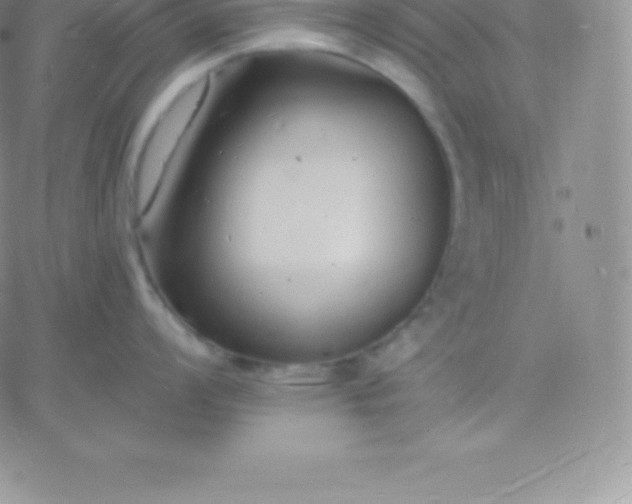 X0000060741008200511241633