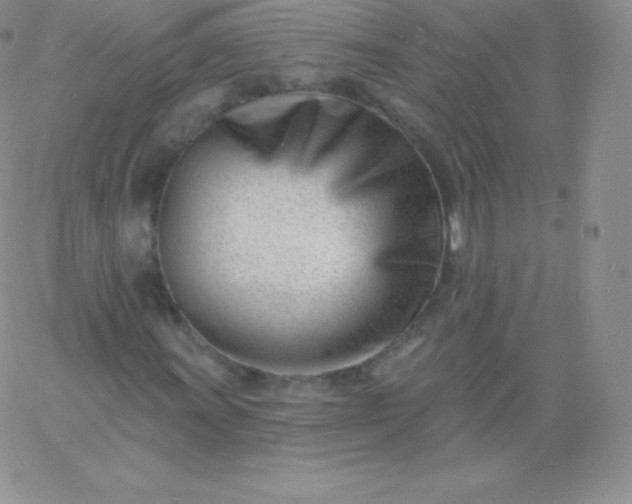 X0000060741011200511241632